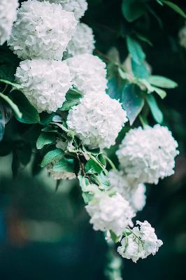 凡人修仙传动漫在线