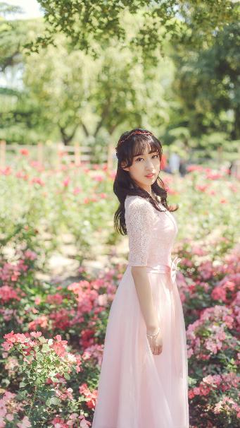 野兽们的战争在线观看免费版